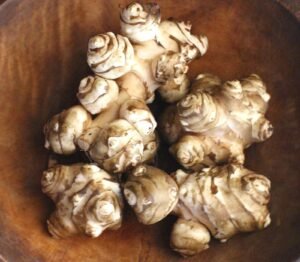 sunchoke Jerusalem artichoke